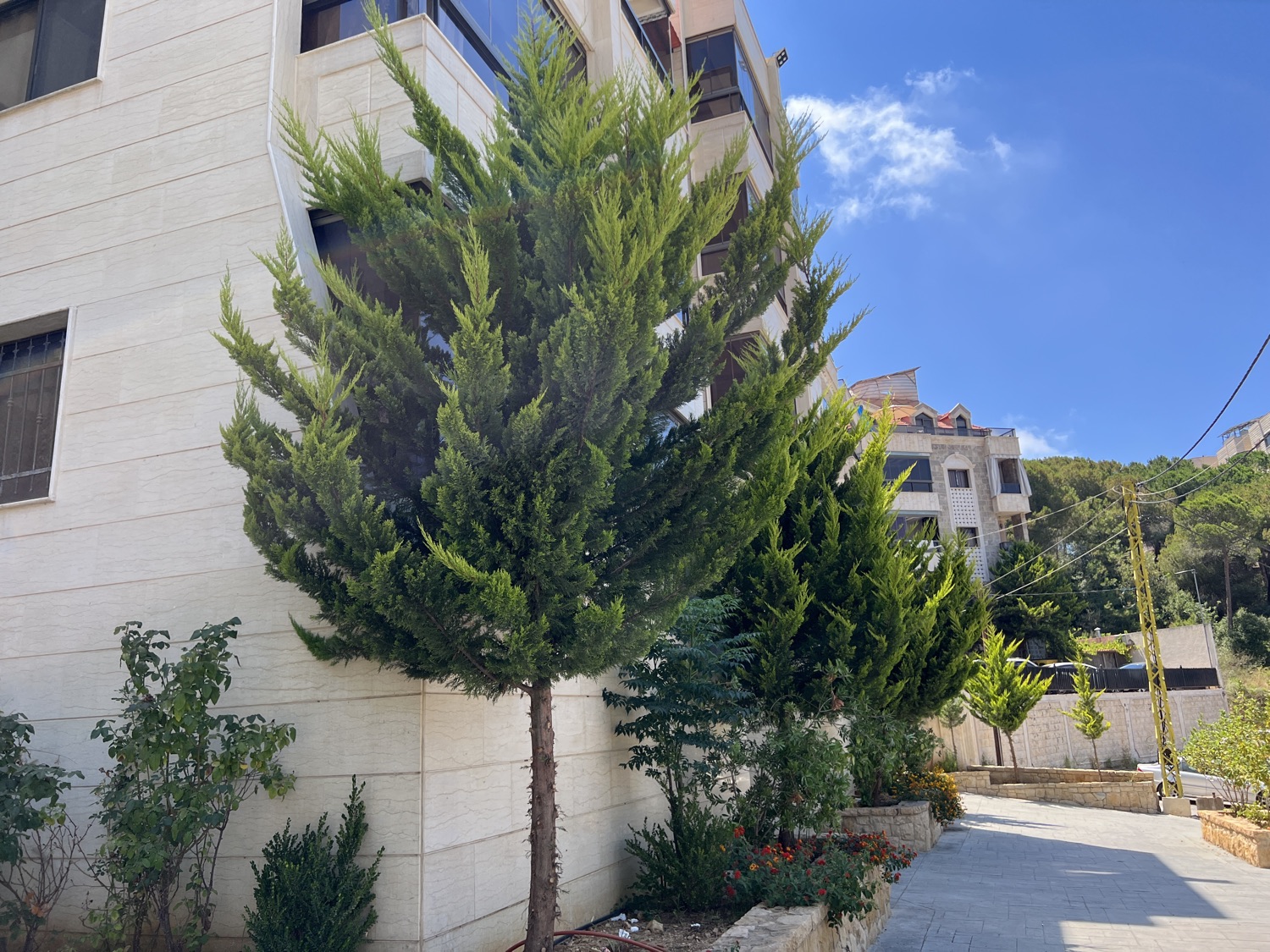 Walkway beside the building